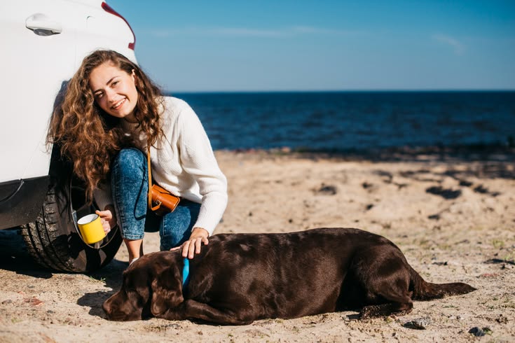 Travelling With Your Dog: Protecting Your Car and Keeping Them Comfortable