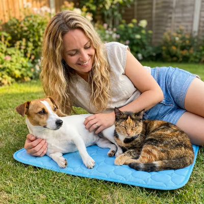 Pet Cooling Blanket