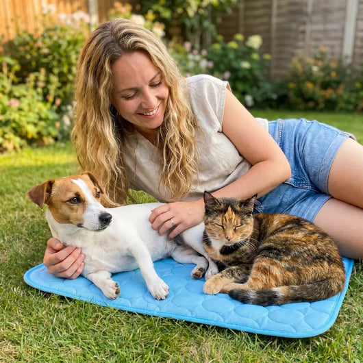 Pet Cooling Blanket