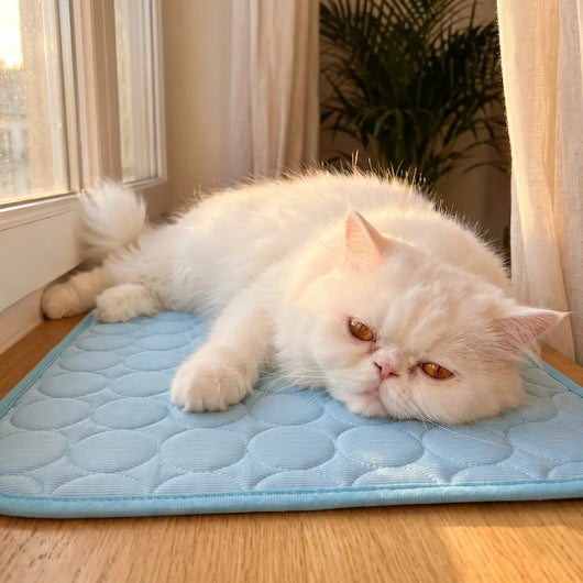 Pet Cooling Blanket