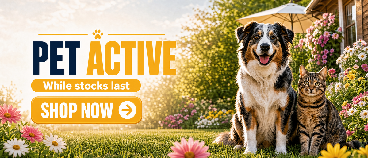 PetActive – pet supplies for dogs and cats