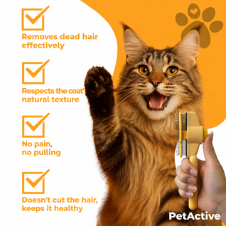 Fur-Catching Brush