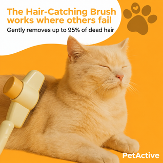 Fur-Catching Brush