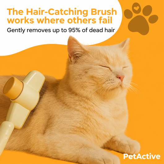 Fur-Catching Brush