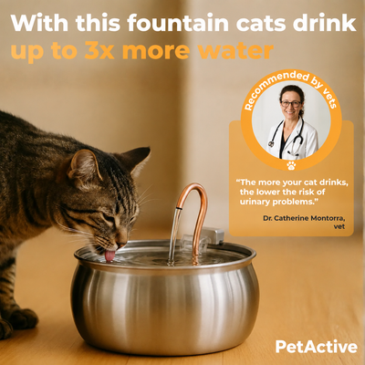 Cat Water Fountain - EN 2