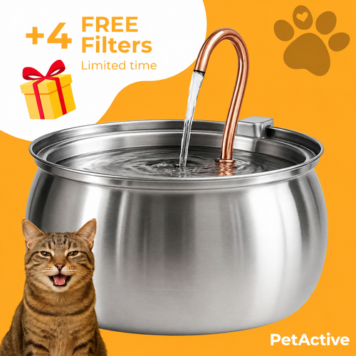 Cat Water Fountain