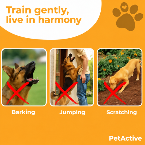 Calm Dog Ultrasonic Device