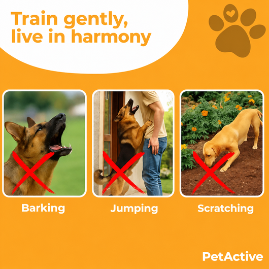Calm Dog Ultrasonic Device - EN 5