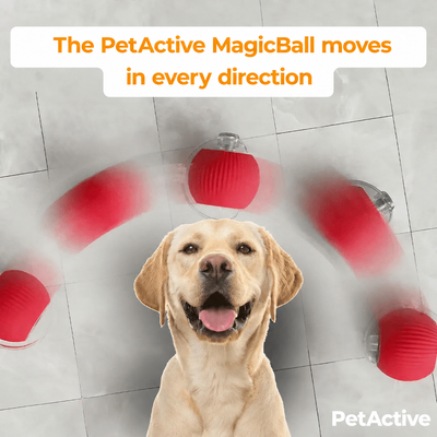 MagicBall - EN 5