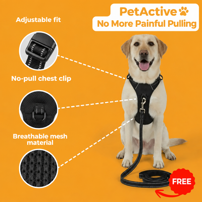 No-Pull Harness - EN 3