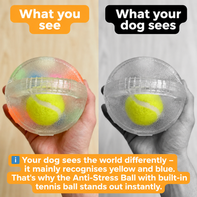 Anti-Stress Ball - EN 2