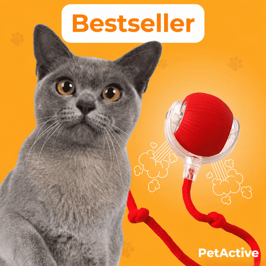 PowerBall - EN 1