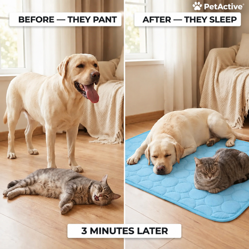 Pet Cooling Blanket