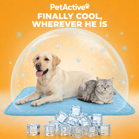 Cool Paws Mat - EN 1