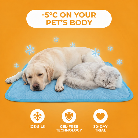 Cool Paws Mat - EN 2