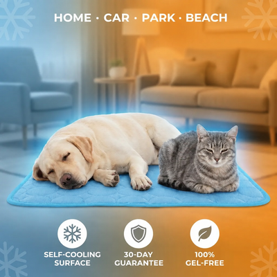 Cool Paws Mat - EN 9
