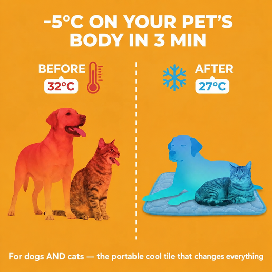 Cool Paws Mat - EN 10