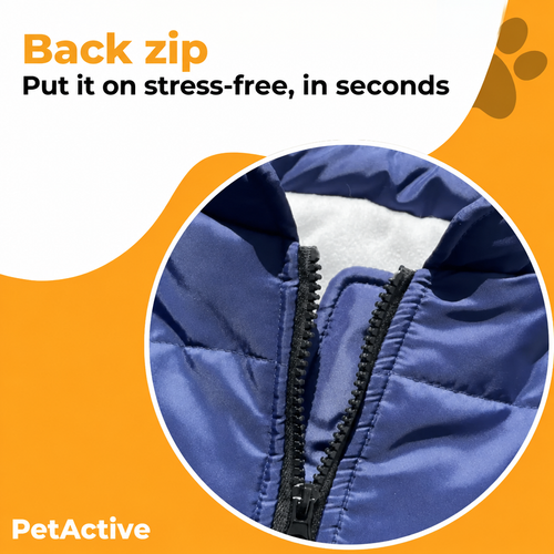 3-in-1 Winter Coat