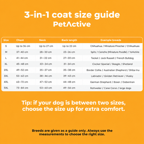 3-in-1 Winter Coat