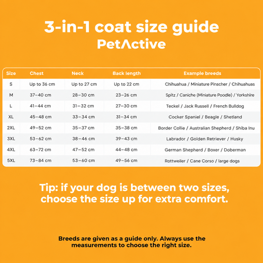 3-in-1 Winter Coat - EN 10