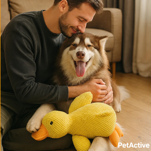 Anti-Stress Duck - EN 8