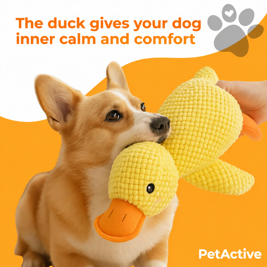 Anti-Stress Duck - EN 4