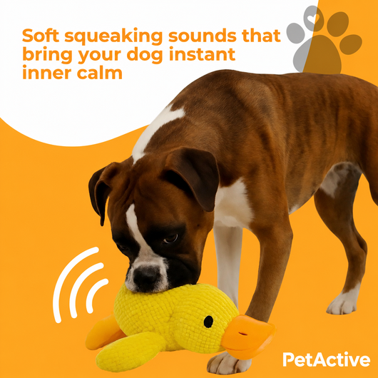 Anti-Stress Duck - EN 5