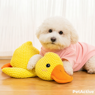 Stress-relief duck