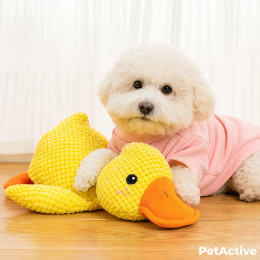 Anti-Stress Duck - EN 9