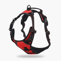 No-Pull Harness