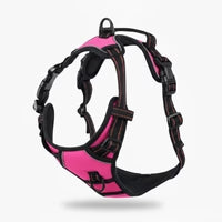 No-Pull Harness